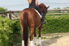 Photo-23-04-2019-17-21-44