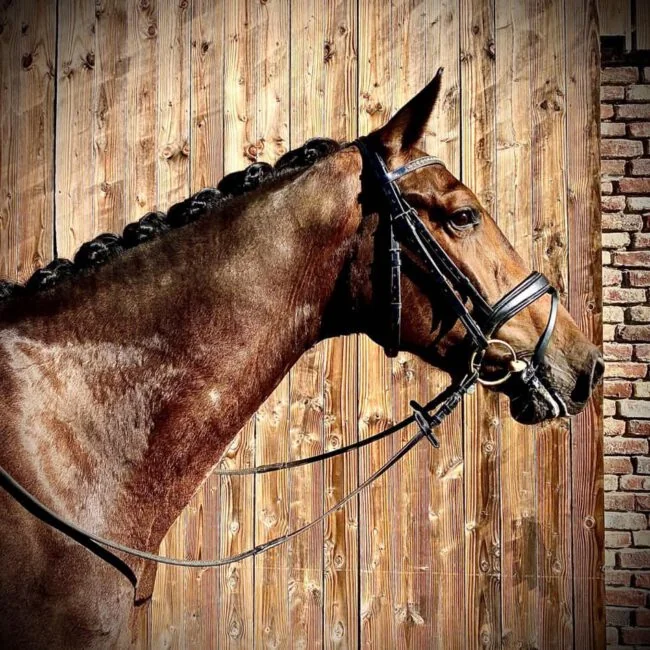 Magic Mike de l’Aube