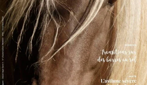 equimag 2020