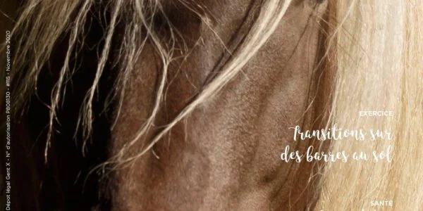 Press article – Equimag November 2020