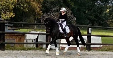 Clinic with Morgan Barbançon Mestre