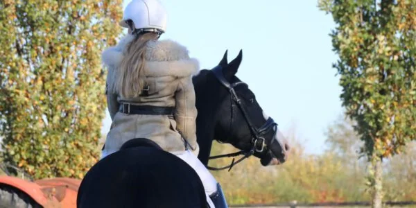 Winter Photoshoot at Haras de l’Aube